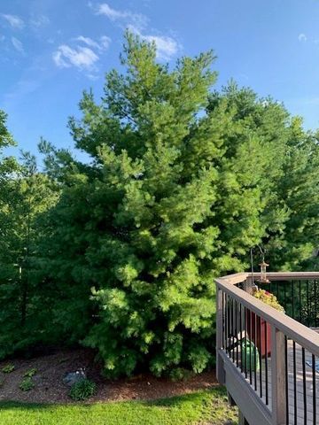 4120 Kings Road, Chanhassen, MN 55331