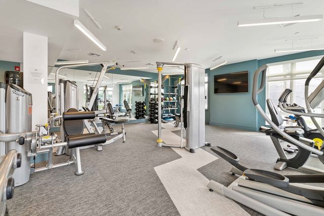180 Telford 311, Boston, MA 02135