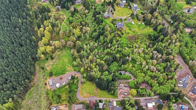 132 Lot 2 Lake Terrace Drive, Mossyrock, WA 98564