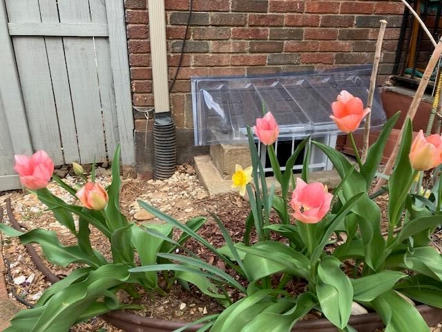 2705 Wycliffe AVE, Roanoke, VA 24014