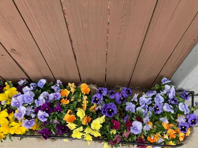 2705 Wycliffe AVE, Roanoke, VA 24014