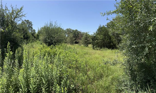 9736 North FM 2096 Farm to Market Road N, Franklin, TX 77856