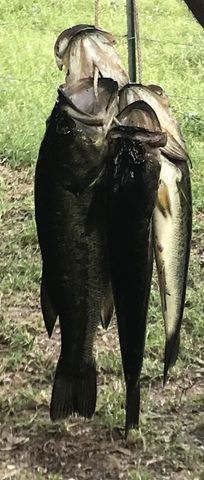 9736 North FM 2096 Farm to Market Road N, Franklin, TX 77856