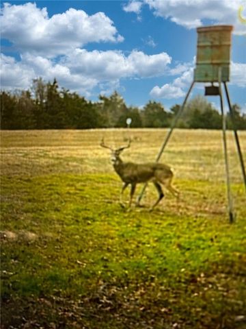 9736 North FM 2096 Farm to Market Road N, Franklin, TX 77856