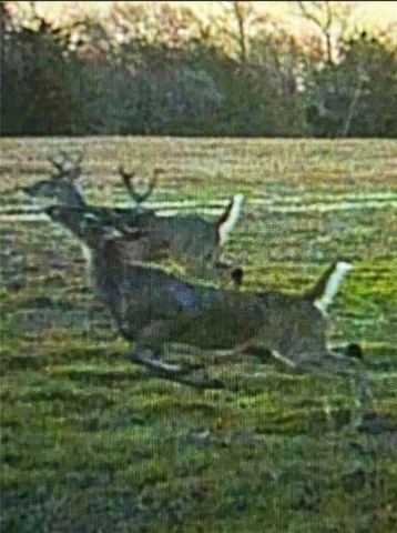 9736 North FM 2096 Farm to Market Road N, Franklin, TX 77856