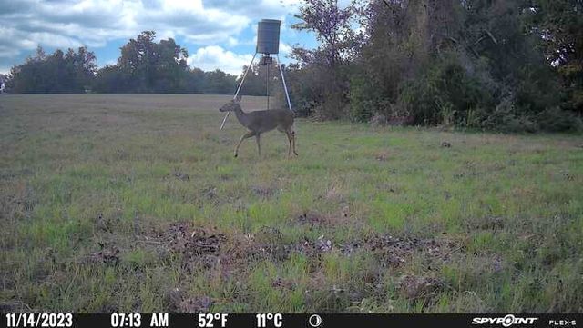 9736 North FM 2096 Farm to Market Road N, Franklin, TX 77856