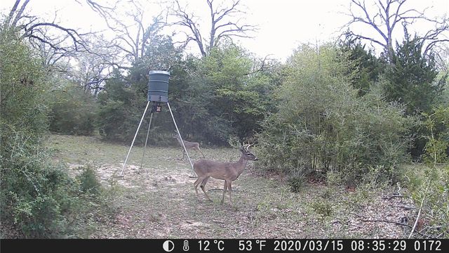 9736 North FM 2096 Farm to Market Road N, Franklin, TX 77856