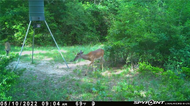 9736 North FM 2096 Farm to Market Road N, Franklin, TX 77856