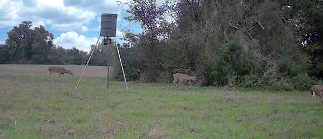 9736 North FM 2096 Farm to Market Road N, Franklin, TX 77856