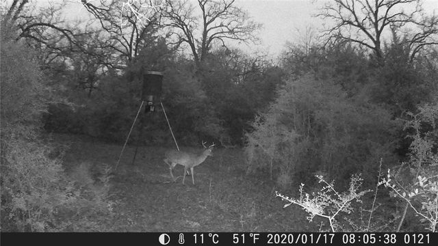 9736 North FM 2096 Farm to Market Road N, Franklin, TX 77856