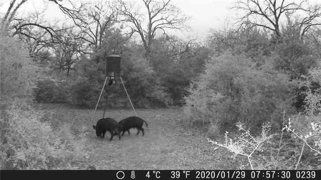 9736 North FM 2096 Farm to Market Road N, Franklin, TX 77856