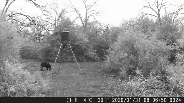 9736 North FM 2096 Farm to Market Road N, Franklin, TX 77856