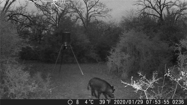 9736 North FM 2096 Farm to Market Road N, Franklin, TX 77856