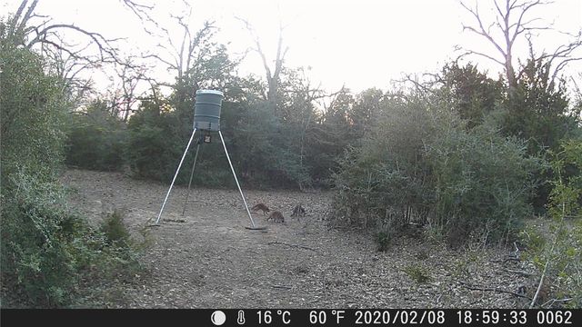 9736 North FM 2096 Farm to Market Road N, Franklin, TX 77856