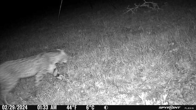 9736 North FM 2096 Farm to Market Road N, Franklin, TX 77856