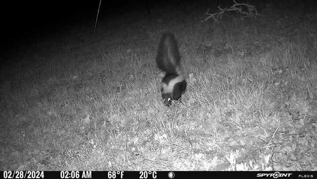 9736 North FM 2096 Farm to Market Road N, Franklin, TX 77856