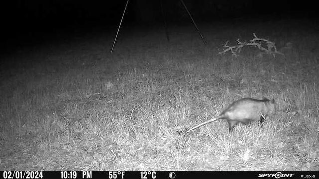 9736 North FM 2096 Farm to Market Road N, Franklin, TX 77856