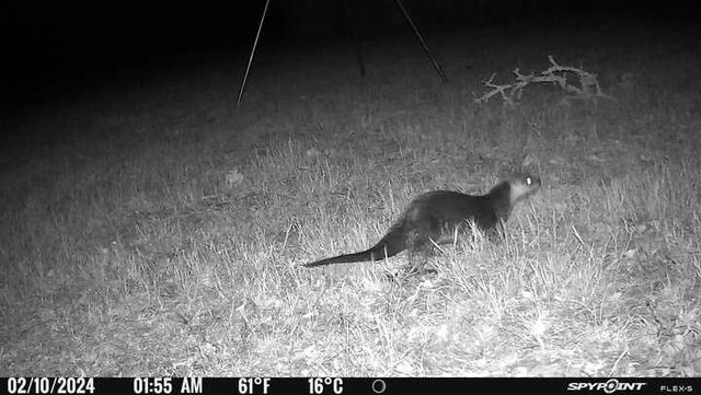 9736 North FM 2096 Farm to Market Road N, Franklin, TX 77856