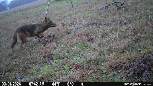 9736 North FM 2096 Farm to Market Road N, Franklin, TX 77856