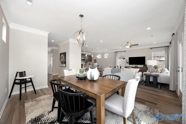 1133 Tanger Glen Trail, Harvest, AL 35749
