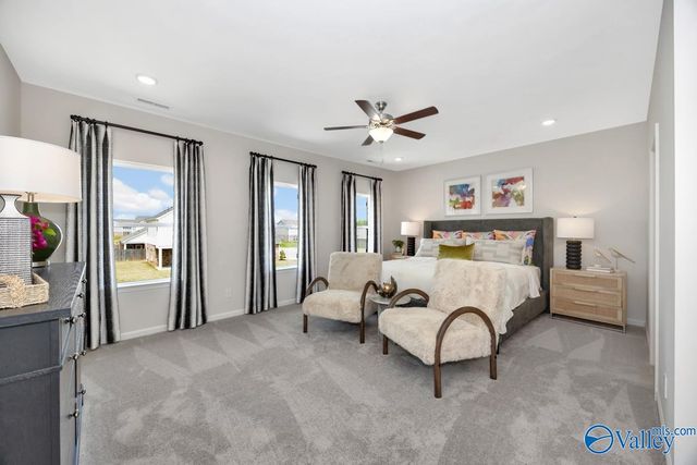 1133 Tanger Glen Trail, Harvest, AL 35749