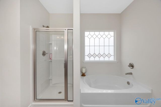 1133 Tanger Glen Trail, Harvest, AL 35749