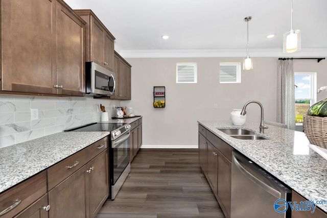 1133 Tanger Glen Trail, Harvest, AL 35749