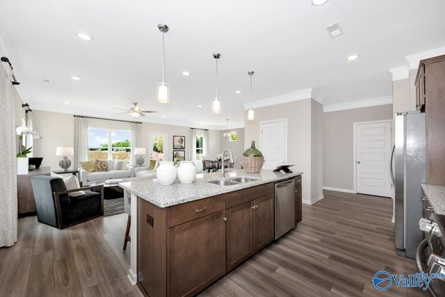 1133 Tanger Glen Trail, Harvest, AL 35749