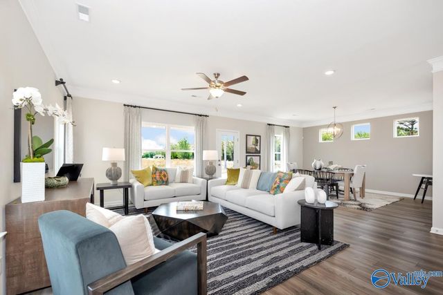 1133 Tanger Glen Trail, Harvest, AL 35749