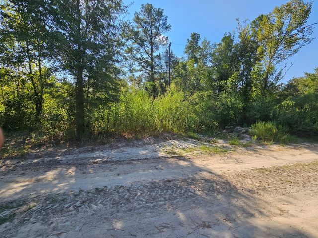 TBD Alabama Drive, Huntsville, TX 77320