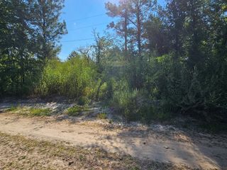 TBD Alabama Drive, Huntsville, TX 77320