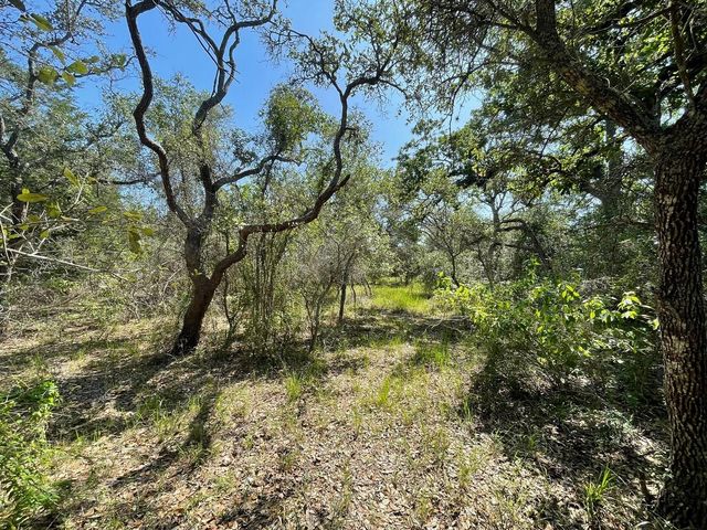 Lot 2 County Road 14, Hallettsville, TX 77964