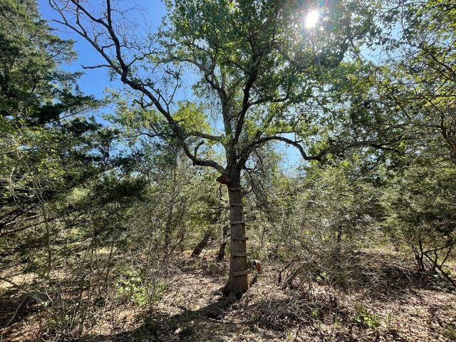 Lot 2 County Road 14, Hallettsville, TX 77964