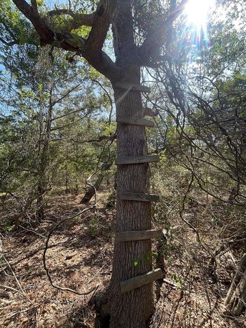 Lot 2 County Road 14, Hallettsville, TX 77964