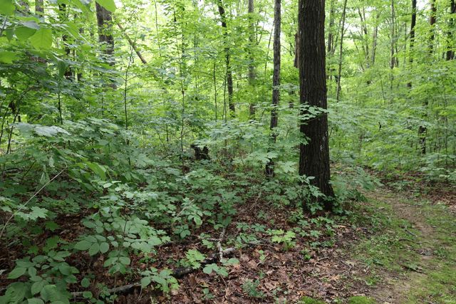 7845 S Old State Rd. 37, Bloomington, IN 47403