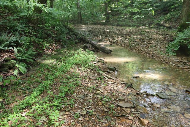 7845 S Old State Rd. 37, Bloomington, IN 47403