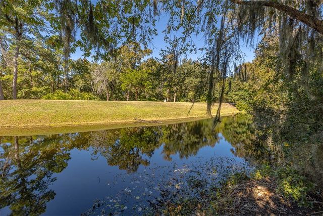 3 Bay Tree Court W, St Simons Island, GA 31522