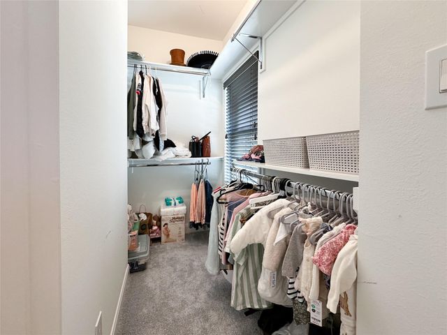 2 Hermann Park Court, Houston, TX 77021