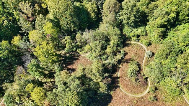 7074 Grenadier Court, Shelby Twp, MI 48317
