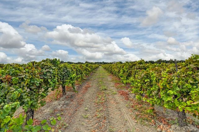 52929 County Road 141, Clarksburg, CA 95612