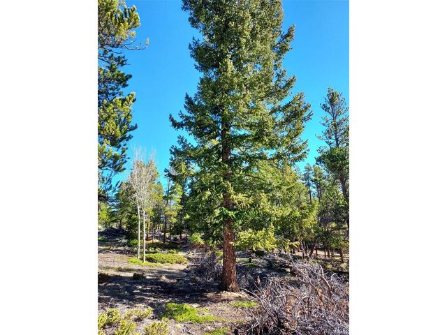 0 Frank C, Idaho Springs, CO 80452