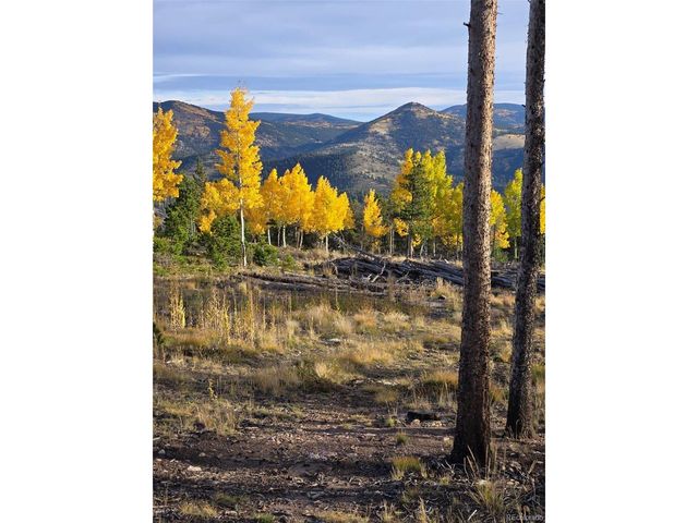 0 Frank C, Idaho Springs, CO 80452