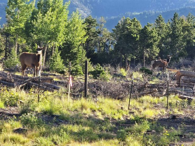 0 Frank C, Idaho Springs, CO 80452