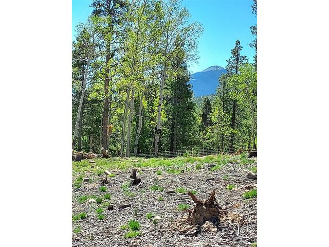 0 Frank C, Idaho Springs, CO 80452