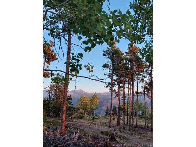 0 Frank C, Idaho Springs, CO 80452
