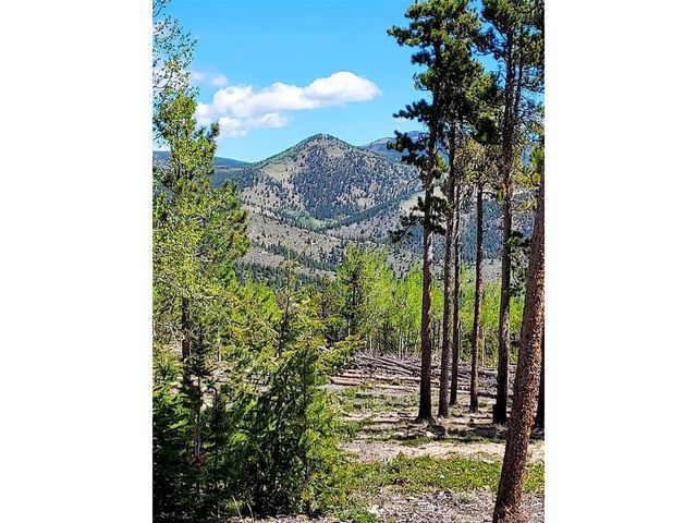0 Frank C, Idaho Springs, CO 80452