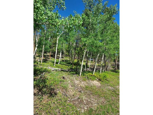 0 Frank C, Idaho Springs, CO 80452