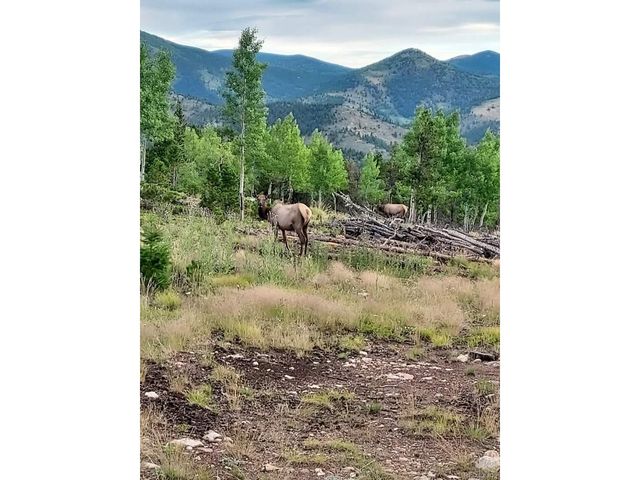 0 Frank C, Idaho Springs, CO 80452