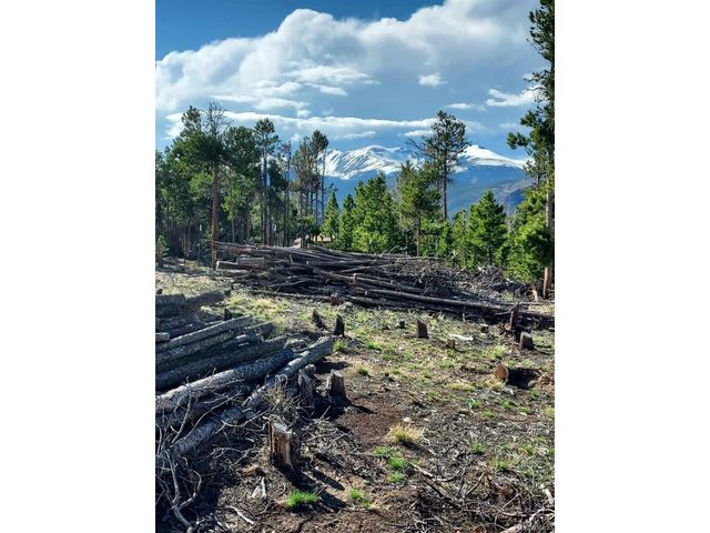 0 Frank C, Idaho Springs, CO 80452