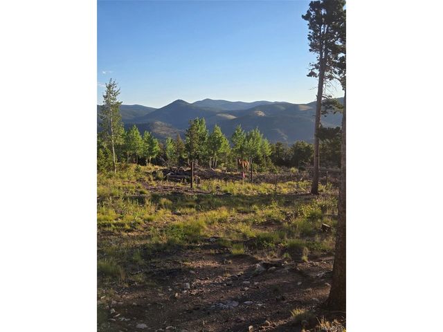 0 Frank C, Idaho Springs, CO 80452